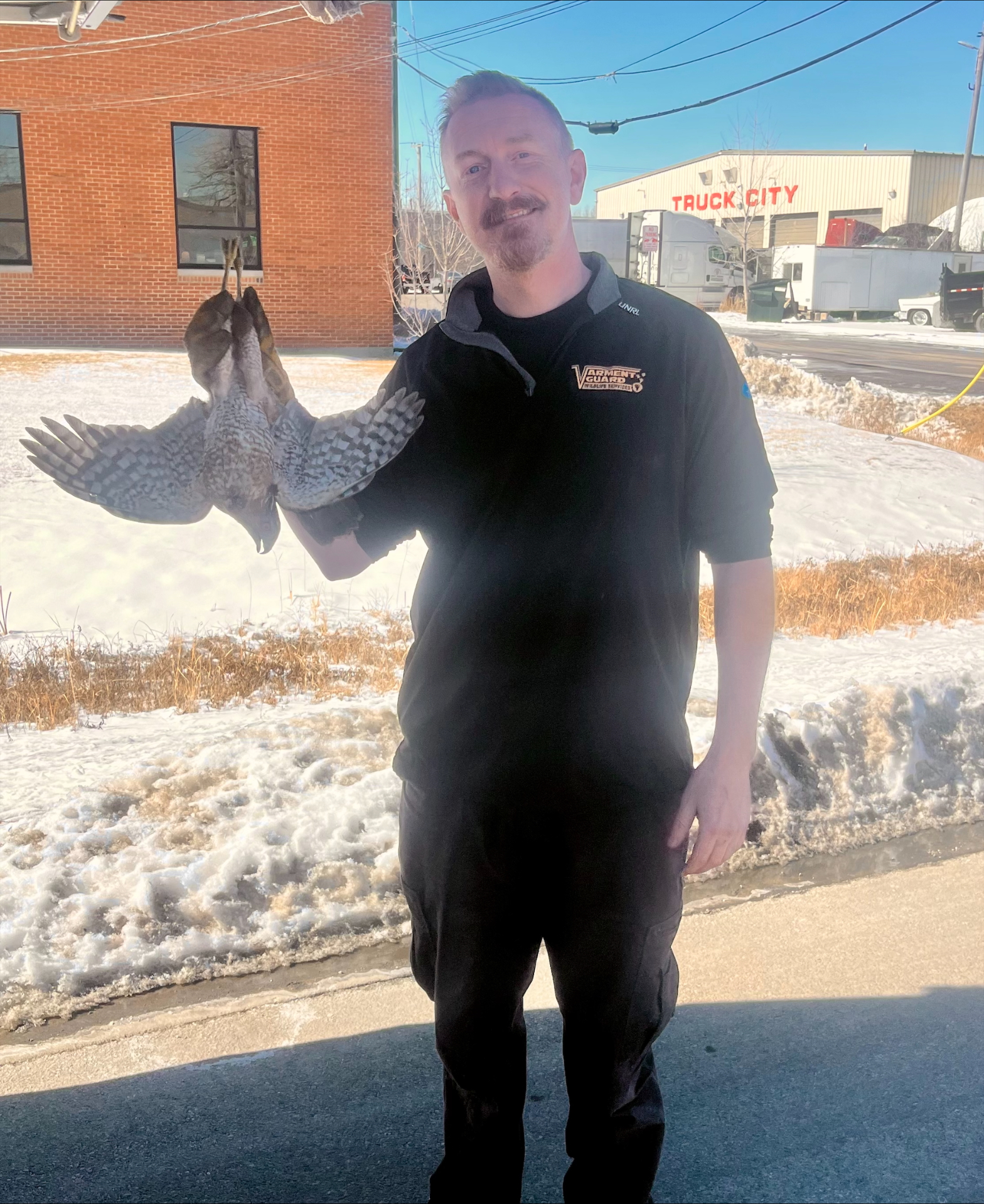Varment Guard commercial bird control technician on a job site
