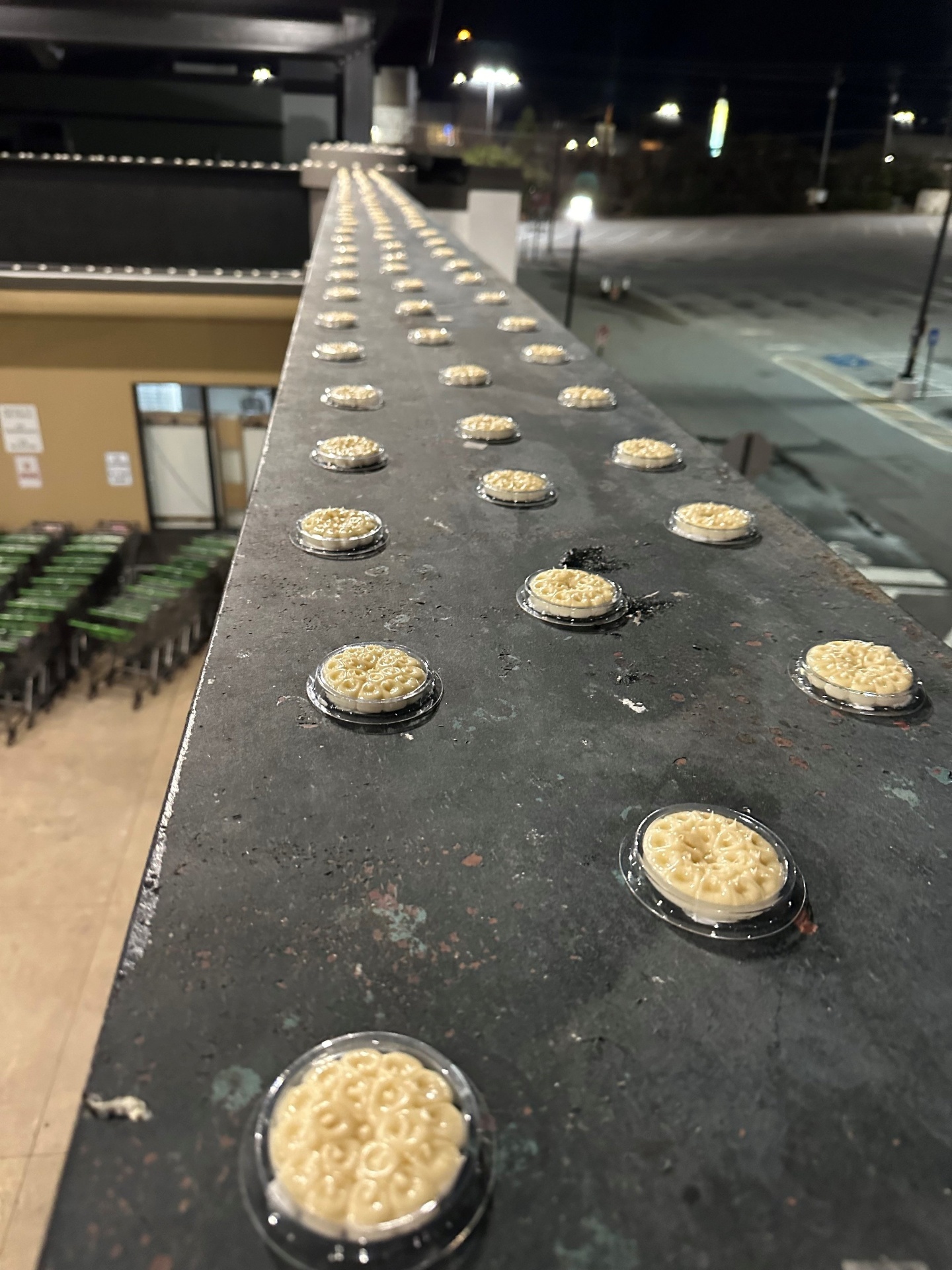 Bird Barrier Optical Gel dishes installed in rows along a commercial rooftop parapet